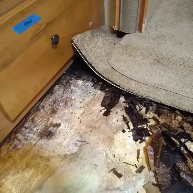 Wood Floor Water Damage in Pine Beach, NJ